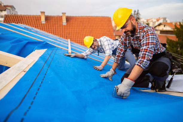 Best Sealant for Roof  in Detroit, MI