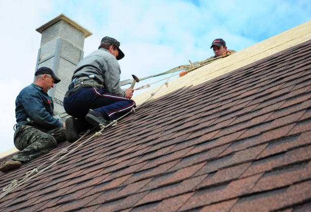 Quick and Trustworthy Emergency Roof Repair Services in Detroit, MI
