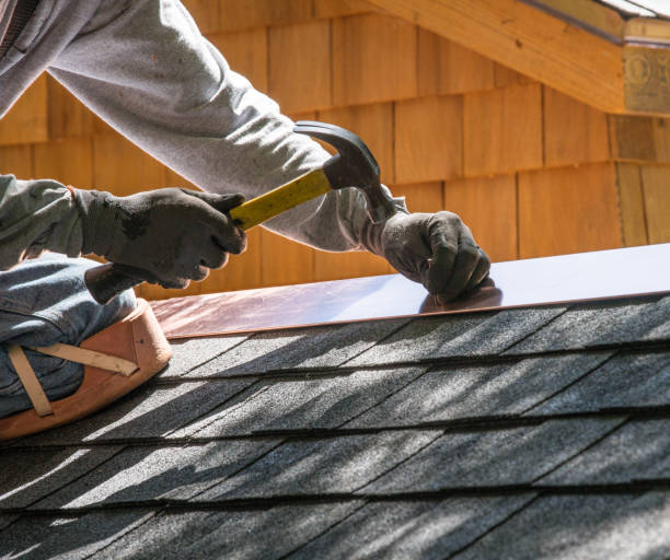 Best Metal Roofing Contractor  in Detroit, MI